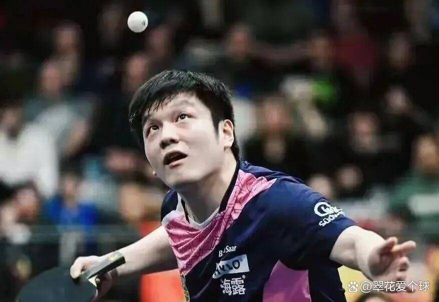 樊振东德甲顶薪签约，碾压欧洲本土巨星，乒坛格局暗含巨大变数